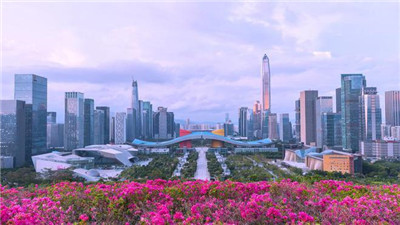 上海张江品茶